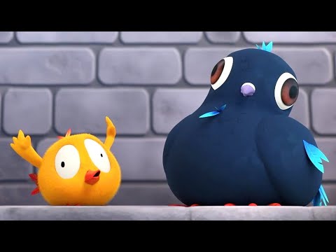 Chicky's new friend | Where's Chicky? | Cartoon Collection in English for Kids | HD