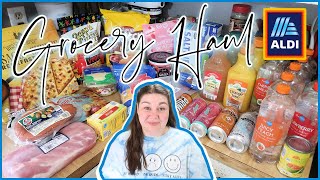 JUNE'S MONTHLY GROCERY TOTAL | 1-Week Grocery Haul & Meal Plan | ALDI HAUL