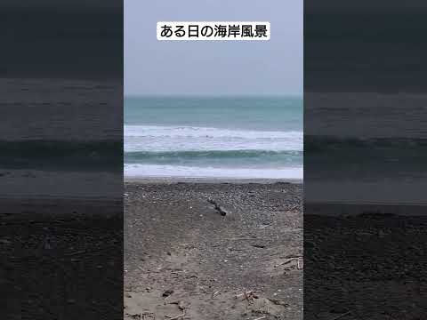 ある日の海岸風景