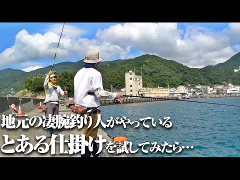 なんかスッゲェ釣れるサビキ仕掛けがあるっぽい…。実際に試してみた結果、普段釣れないような魚も混ざる大フィーバーになった件