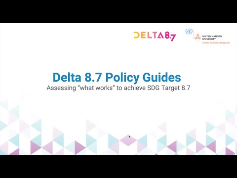 Delta 8.7 Policy Guides: Assessing “What Works” to Achieve SDG Target 8.7