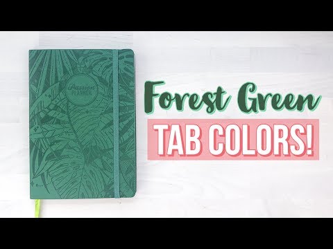 2020 FOREST GREEN Passion Planner - WHAT TABS MATCH!?