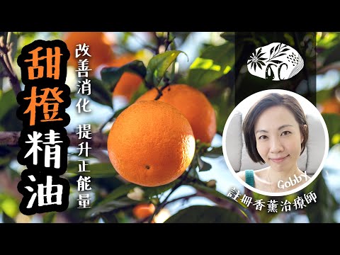 甜橙精油 🍊 Orange Sweet Essential Oil 倦怠時的提振好幫手 時刻保持正能量  @GobbyHong  #高比精油生活小教室 #organicrafthk