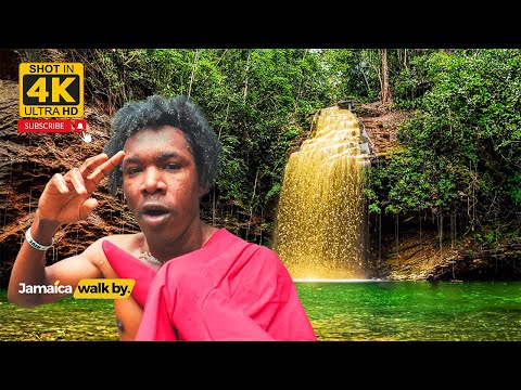 ✔️Exploring An Hidden Beauty In Jamaica SUGAR LOAF HILL River 4k 2024