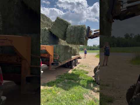 Bales on the Wisconsin Family Farm