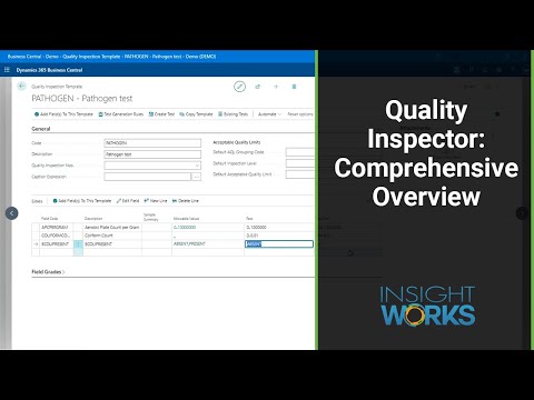 Quality Inspector - Comprehensive Overview