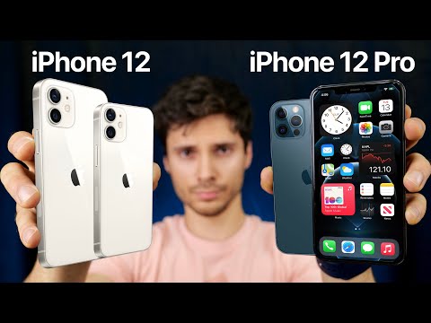 iPhone 12 vs iPhone 12 Pro/12 Pro Max! Which Should You Buy?