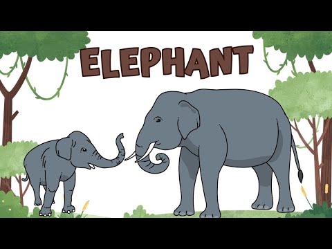 Wild Animals Name for kids | Animals Name with Sound