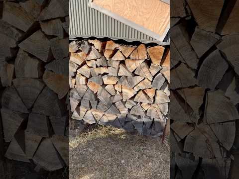 🌸 Japanese Firewood Stacking - Precision and Spirit at Work - softypapa shorts 🔥🇯🇵