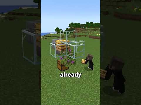 How To Make A Bee Farm In Minecraft!