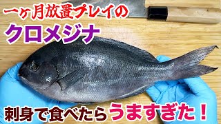 一ヶ月放置プレイのクロメジナ、刺身で食べたらうますぎた