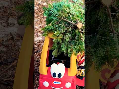 Stuck Inside #funnyshorts #christmas #car #stuck #funny #karma