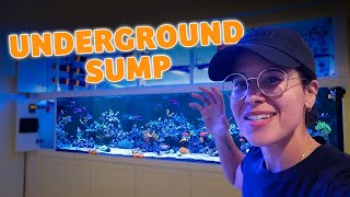 INSANE $40,000+ Custom Aquarium (reef tank tour)