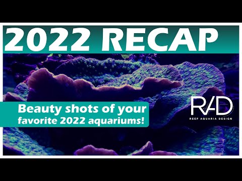 REEF AQUARIA DESIGN 2022 RECAP - REEF AQUARIUMS, JELLYFISH, PONDS AND MORE!