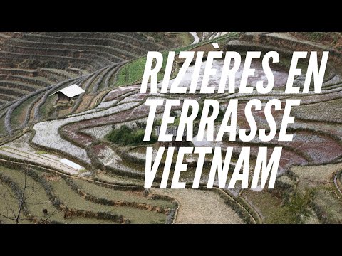 Voyage Nord Vietnam | Randonnée à travers les rizières en terrasse