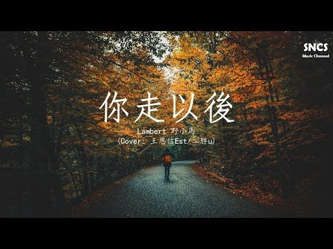 Lambert 野小馬 - 你走以後 (Cover: 王恩信Est/二胖u) | 抖音完整版 | 高音質動態歌詞