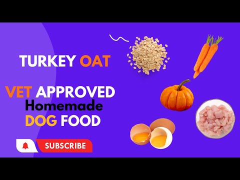 Turkey and Oat Homemade vet approved easy to cook Human grade dog food | blogsbyibara