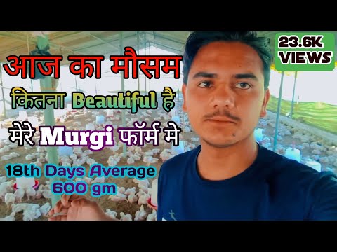 आज का मौसम कितना सुंदर है | New Vlog poultry form | jamal vlogs 2023 | Vloging life for you 😘#vlogs