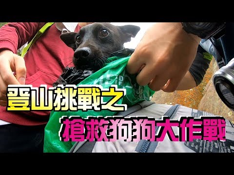 【ChienHao老師生活】五寮尖登山挑戰之帶著「山林」一起下山