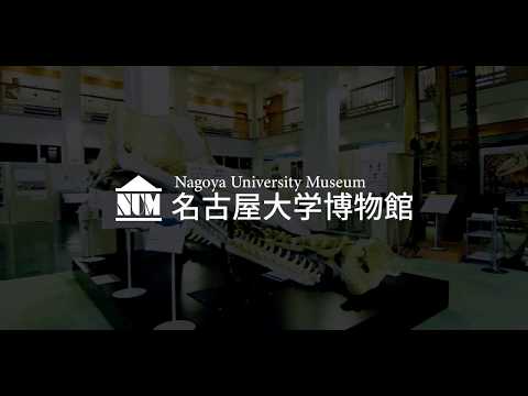 名古屋大学博物館 / 展示飛行 Nagoya University Museum / Exhibition Fly-Through