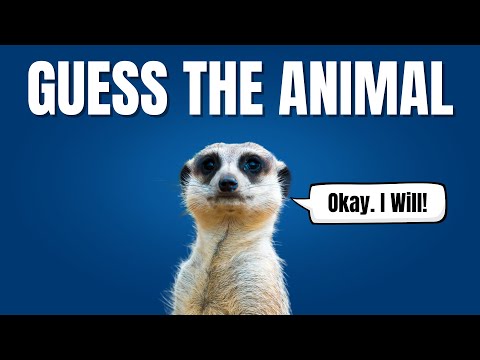 Guess These Animal Names To Work Out The Secret Message!