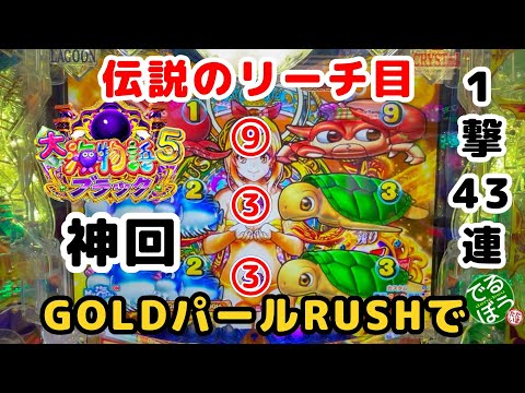 【神回】3月4日パチンコ実践　P大海物語5ブラック　GOLDパールRUSHで伝説のリーチ目　自身最高連チャン　伝説のリーチ目は本物だった