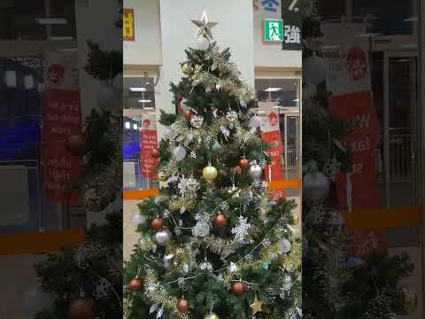 ブックオフステラタウン店 2024クリスマスツリー #shorts #shortvideo #youtubeshorts #travel #japantravel #merrychristmas