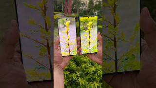 Realme 12 Pro Plus vs Samsung S23 ultra Portrait Testing #shorts #realme #samsung