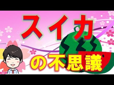 【3分】  スイカの黒い種と白い種の違い