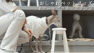 こだわりペットグッズ紹介　愛犬のラウンジとオシャレはフードボウル