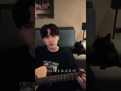 Cover〈也曾想走進你的心底〉吉他純凈版