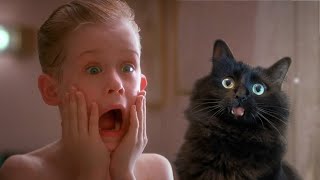 Home Alone with My Cat (OwlKitty Parody)