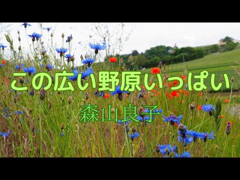 ♪この広い野原いっぱい/森山良子