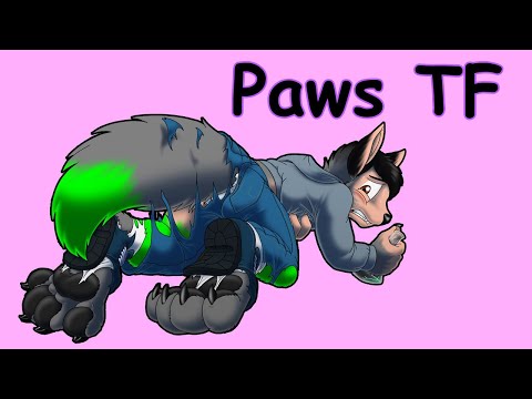 Paws Transformation (Part 2)