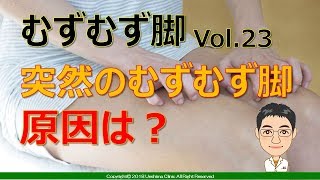 【レストレス】むずむず脚症候群 Part 23　突然のむずむず脚 原因は？【ムズムズ】