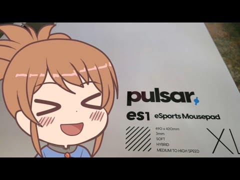 Pulsar ES1 Mousepad Review (stretched resolution)