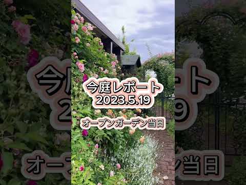 今庭レポート　2023.5.19  オープンガーデン当日