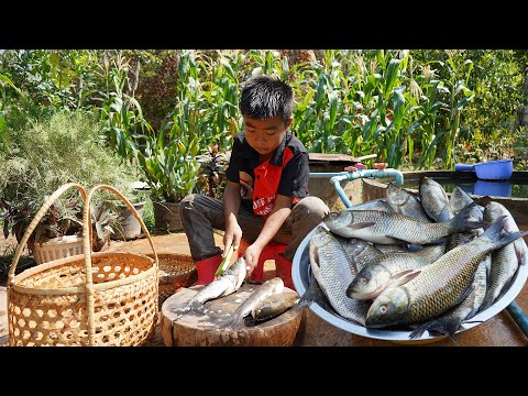 Chef Seyhak cook freshwater fish with unique skills - Yummy fish recipes - Chef Seyhak