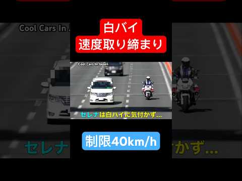 白バイが速度違反の車を捕まえる瞬間‼️ #shorts サイレン 警察