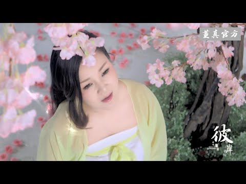 董真【彼岸】彼岸花开不记年，浮生如梦久长眠~#兰陵王妃 #古风音乐