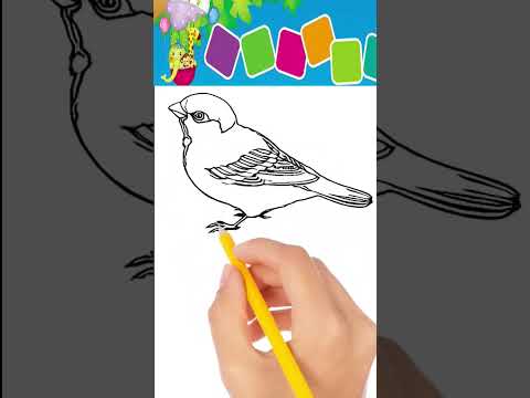 How to draw Bird Sparrow!! Kids #kuukuutv