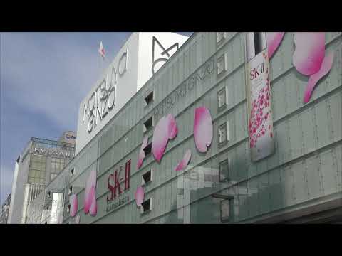 4k 歩行者天国の銀座 Ginza 平成３０年