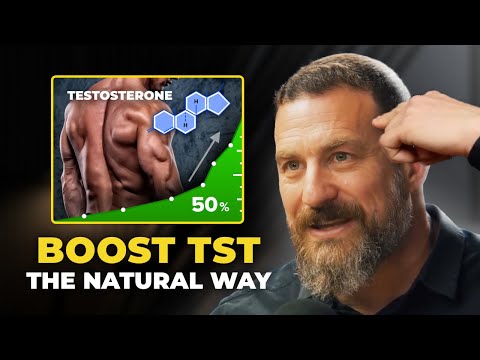 Neuroscientist: This Exercise BOOSTS Testosterone 50% | Andrew Huberman