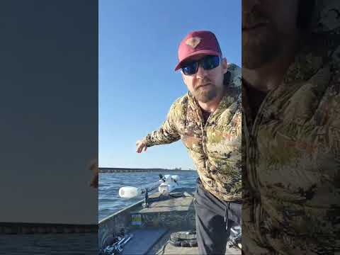 SANTEE COOPER | Live Stream Running From WYBOO / POTATO CREEK  to The CANAL #bassmasters #fishing