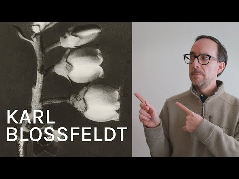 Karl Blossfeldt, el fotógrafo de la naturaleza