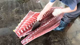 Amazing skills!Giant Bluefin Tuna Cutting Show / 黑鮪魚切割大師切割秀