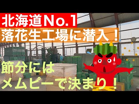 【めむろ大感謝祭直前】落花生の調整作業も大詰め❗️