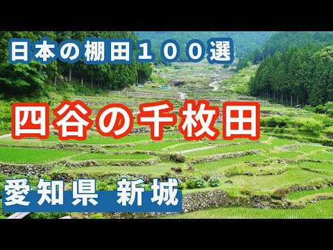 【愛知県新城・四谷の千枚田】隠れた愛知の名所。『日本の棚田百選』にも選定された棚田の迫力にびっくり。　古民家風カフェ　たてば / 四谷の千枚田 / 道の駅したら