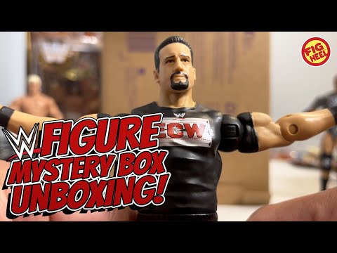 Unboxing A Mystery Box Of WWE Action Figures!