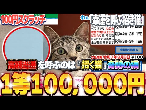 【100円スクラッチ完全攻略】10万円宝くじ1等当選を目指す！『ねこ・ミックス12』で奇跡の瞬間が訪れるか！？【＃宝くじ】